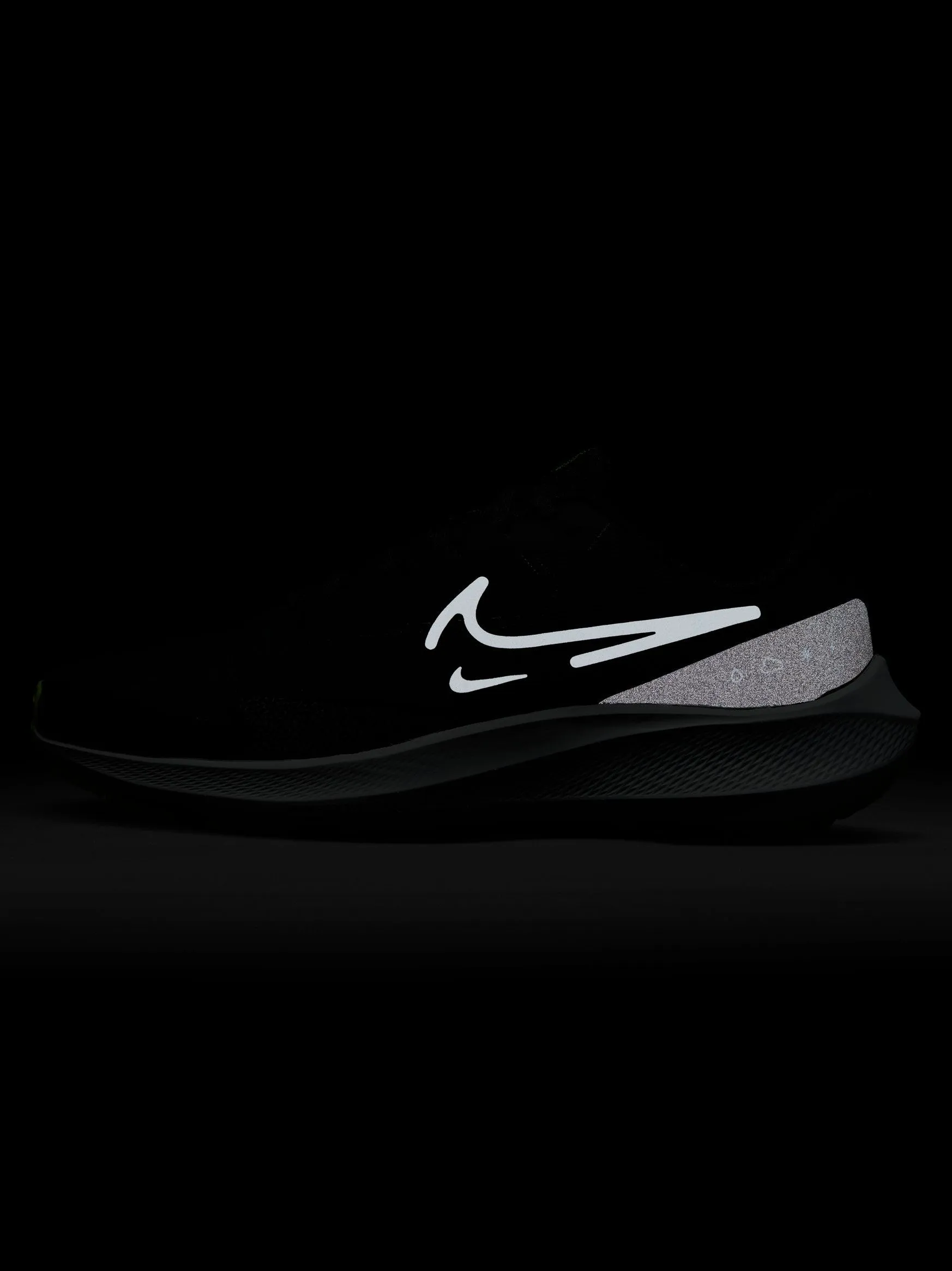 Nike Air Zoom Pegasus 39 Shield Men's Shoes
