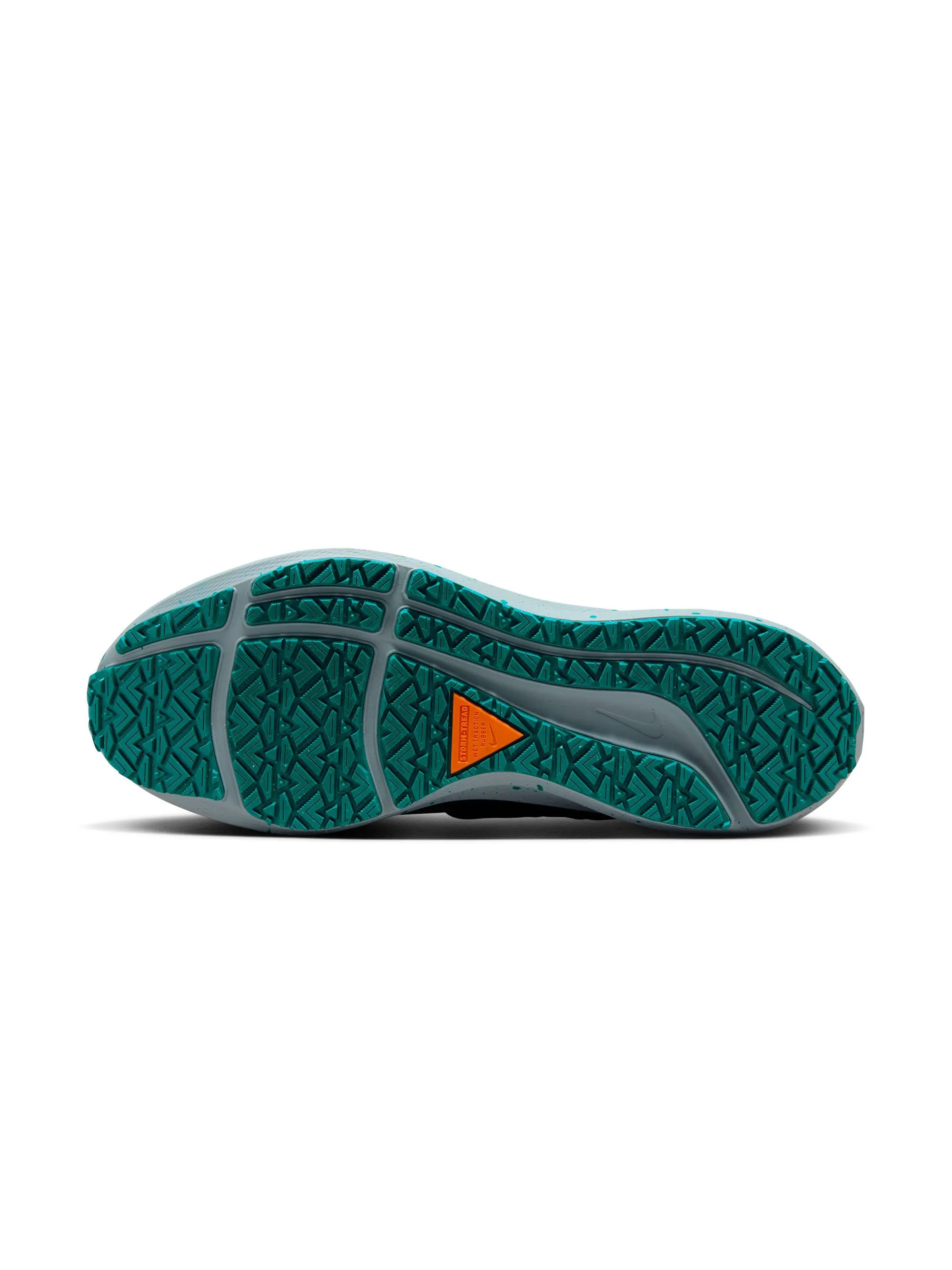 Nike Air Zoom Pegasus 39 Shield Men's Shoes