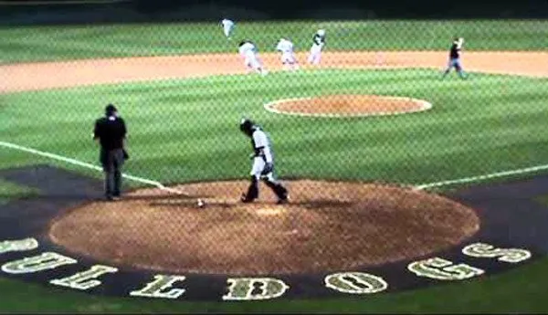 Synthetic Turf Halo