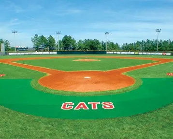 Synthetic Turf Halo