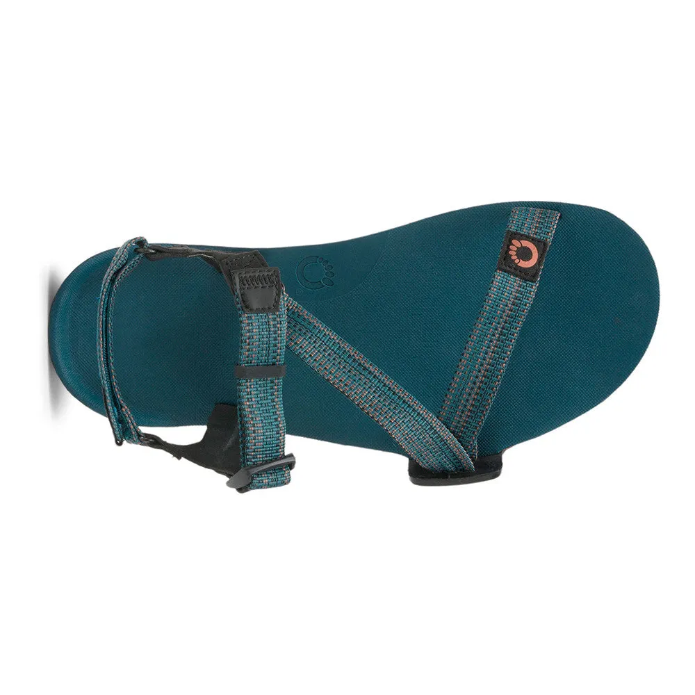 Xero Shoes Z-Trail EV Herren